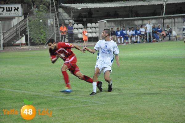 koraludn5478339 (48).JPG